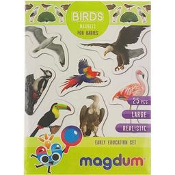 Магнітний набір Magdum Птахи (ML4031-30 EN)