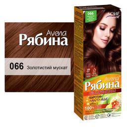 Крем-фарба для волосся Acme Color Рябина Avena, відтінок 066 (Золотистий мускат), 138 мл