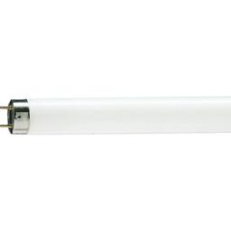 Лампа люмінесцентна Philips TL-D, G13, 1200 мм, 36W/54-765, 4 шт. (928048505451S)