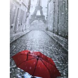Картина по номерам ArtCraft Зонтик в Париже 40x50 см (11207-AC)