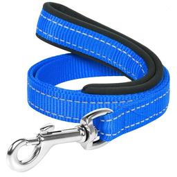 Повідець для собак Dog Extremе, нейлоновий, з прогумованою ручкою, 122х2,5 см, блакитний