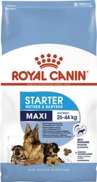 Сухий корм Royal Canin Maxi Starter Mother & Babydog для цуценят великих порід, з м'ясом птиці і рисом, 4 кг