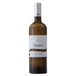 Вино Vinicolo Fantinel B.Tesis Sauvignon, біле, сухе, 12,5%, 0,75 л (8000009737204)
