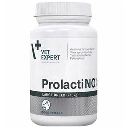 Харчова добавка Vet Expert ProlactiNO Large Breed при помилковій вагітності у собак великих порід, 40 таблеток