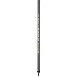 Олівець чорнографітних BIC Evolution Black 650, HB, 1 шт. (896016)