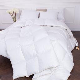 Одеяло пуховое MirSon Raffaello 062, двуспальное, 205x172, белое (2200000075086)