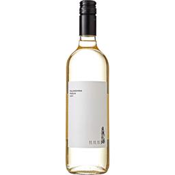Вино 11.11.11 Falanghina Puglia IGT біле сухе 0.75 л