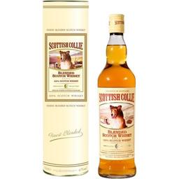 Віскі Scottish Collie Blended Scotch Whisky 40% 0.7 л у тубусі