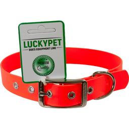 Ошейник из водонепроницаемой ленты Lucky Pet, с металлической пряжкой, 40-50х2,5 см, оранжевый