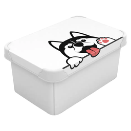 Коробка Qutu Style Box Pet, 5 л, 28,5х19х13,5 см, белый (STYLE BOX с/к PET 5л.)