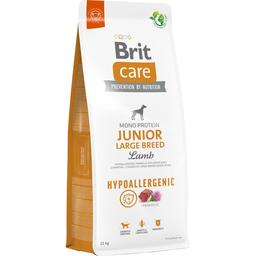 Сухий корм для молодих собак великих порід Brit Care Dog Hypoallergenic Junior Large Breed, гіпоалергенний, з ягням, 12 кг