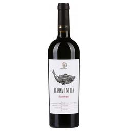 Вино Terra Initia Banovani Red, красное полусладкое, 13%, 0,75 л (8000019020946)