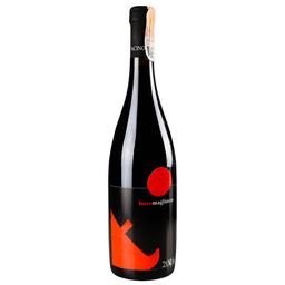Вино L'Acino Toccomagliocco 2016 красное сухое 0.75 л