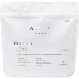 Кава у зернах Gidna Roastery Ethiopia Gera Espresso 250 г
