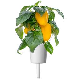 Змінний картридж Click & Grow Smart Garden Жовтий солодкий перець, 3 капсули (8950)