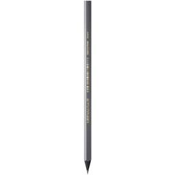 Карандаш чернографитный BIC Evolution Black 650, HB, 1 шт. (896016)