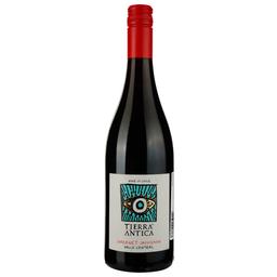 Вино Tierra Antica Cabernet Sauvignon 2021 красное сухое 0.75 л