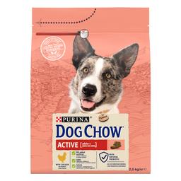 Сухой корм для собак с повышенной активностью Dog Chow Active Adult 1+, с курицей, 2,5 кг