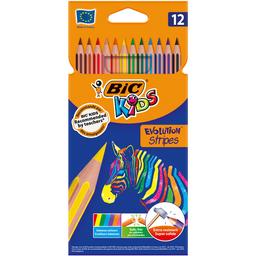 Карандаши цветные BIC Kids Evolution Strips, 12 цветов (9505221)
