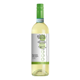 Вино Era Pinot Grigio Delle Venezie Organic, біле, сухе, 12%, 0,75 л