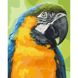 Картина за номерами ArtCraft Папуга Ара 40x50 см (11643-AC)