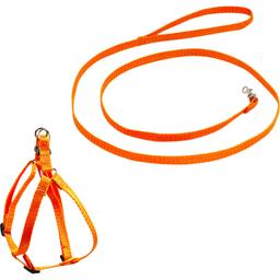 Комплект капроновый Lucky Pet: шлея 24-28х38-46х1 см + поводок, оранжевый