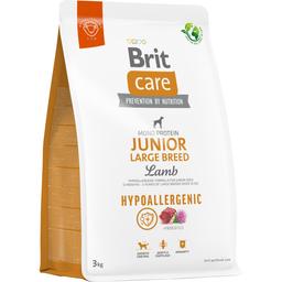 Сухий корм для молодих собак великих порід Brit Care Dog Hypoallergenic Junior Large Breed, гіпоалергенний, з ягням, 3 кг