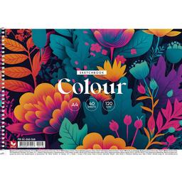 Альбом для рисования Школярик Цветочный сад, 40 листов (PB-SC-040-568)