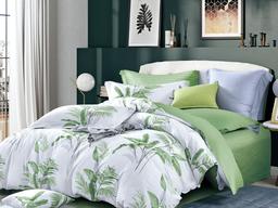 Комплект постельного белья Ecotton, твил-сатин, семейный, 210х147 см, белый с зеленым (23366)