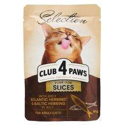 Влажный корм для кошек Club 4 Paws Premium с селедкой и салакой в желе, 80 г (B5631101)