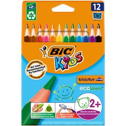 Карандаши цветные BIC Kids Evolution, 12 цветов (8297356)