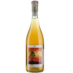 Вино Kamara Pure Nimbus Ritinitis, оранжевое, сухое, 12,5%, 0,75 л (90531)
