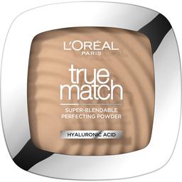 Компактна пудра для обличчя L'Oreal Paris True Match Super-Blendable Perfecting Powder Hyaluronic Acid відтінок 2R/C 9 г