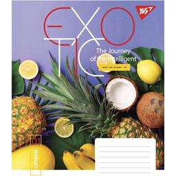 Тетрадь общая Yes Exotic, A5, в линию, 48 листов