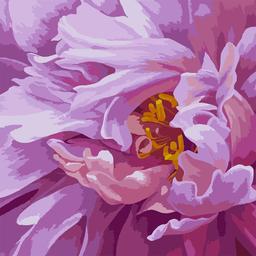 Картина по номерам Santi Розовая феерия, 40х40 см (954430)