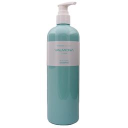 Шампунь для волосся Valmona Зволоження Recharge Solution Blue Clinic Shampoo, 480 мл
