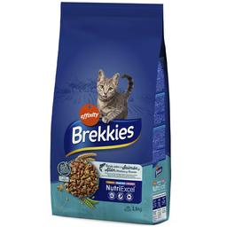 Сухий корм для дорослих котів Brekkies Cat Salmon and Tuna 1.5 кг