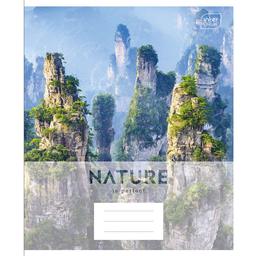 Набір учнівських зошитів Interdruk Premium Nature, клітинка, А5+, 48 аркушів, 4 шт. (339485-4)