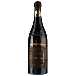 Вино Schenk Cantine di Ora Amicone Corvina Verona, червоне, напівсухе, 13,5%, 0,75 л (8000019105396)