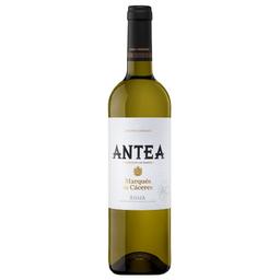 Вино Marques De Caceres Antea Barrel, біле, сухе, 13,5%, 0,75 л (8000016506146)