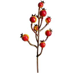 Гілочка декоративна Yes! Fun з осінніми ягодами 22,5 см червона (973923)