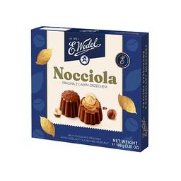 Конфеты E.Wedel Praliny Nocciola с фундуком из молочного шоколада, 108 г (921845)