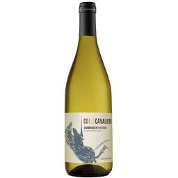 Вино Colle Cavalieri Chardonnay Terre Di Chieti IGP, белое, сухое, 0,75 л