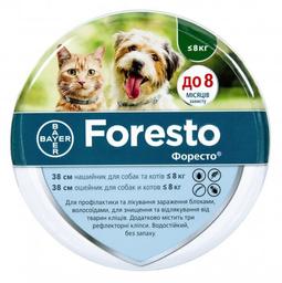 Нашийник Bayer Foresto від бліх та кліщів, для кішок і собак малих порід, 38 см