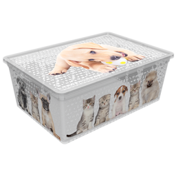 Коробка Qutu Light Box Cats and dogs, 10 л, 37х26х14 см, білий (LIGHT BOX с/к CATS AND DOGS 10л.)