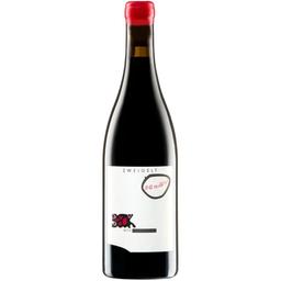Вино Judith Beck Zweigelt Bambule 2019 красное сухое 0.75