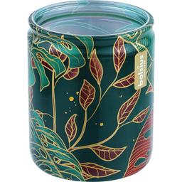 Свічка у склі Bolsius Leaves Манго 82х68 мм зелена (159670)