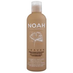 Зміцнюючий шампунь для волосся Noah Leaves з листям гінкго, 250 мл (107389)