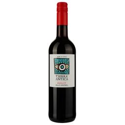 Вино Tierra Antica Merlot 2022 червоне сухе 0,75 л