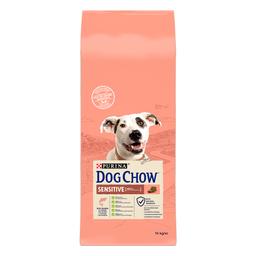 Сухой корм для собак с чувствительным пищеварением Dog Chow Sensitive Adult 1+, с лососем, 14 кг